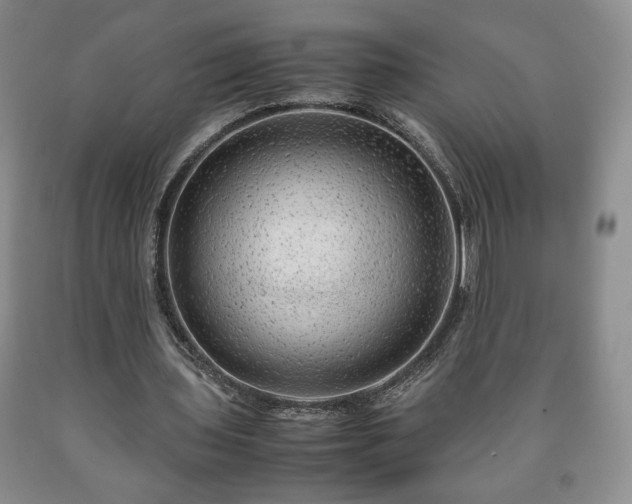 X0000090600435200707241047