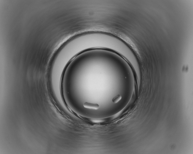 X0000090600436200707241047