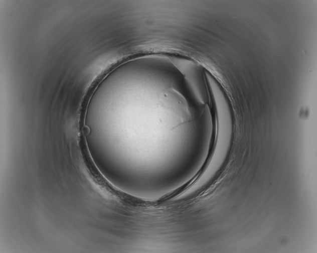 X0000090600438200707241047