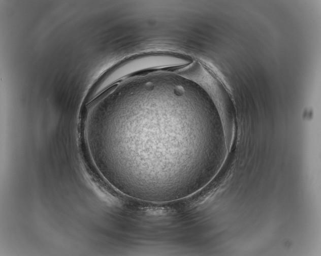 X0000090600439200707241047