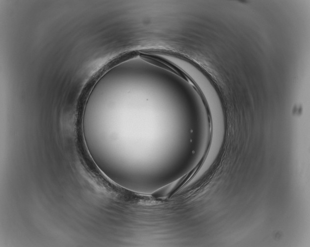 X0000090600440200707241047