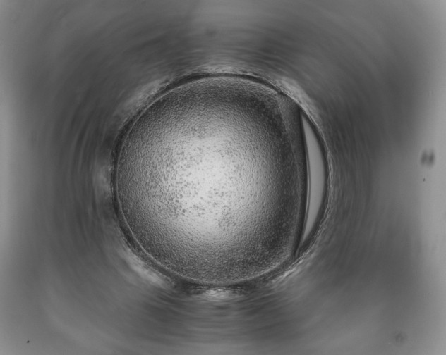 X0000090600441200707241047