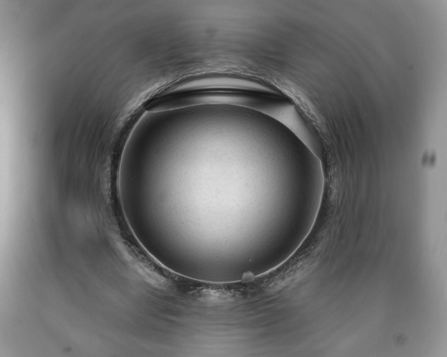 X0000090600442200707241047