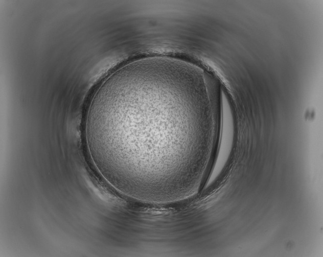 X0000090600443200707241047