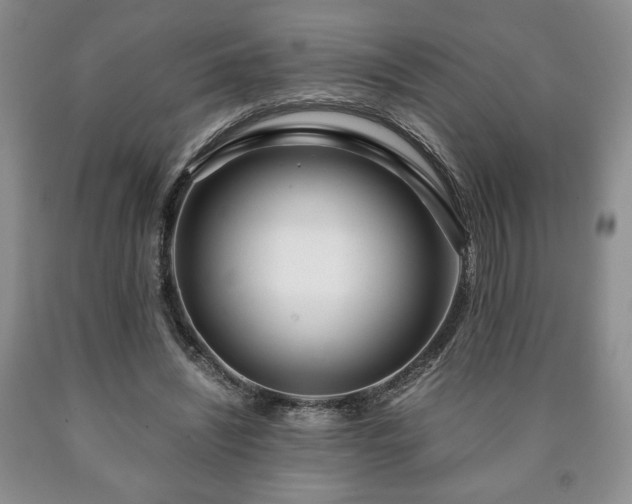 X0000090600444200707241047