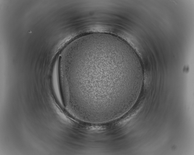 X0000090600445200707241047