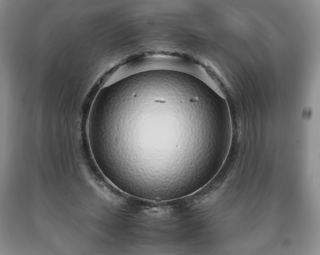 X0000090600447200707241047