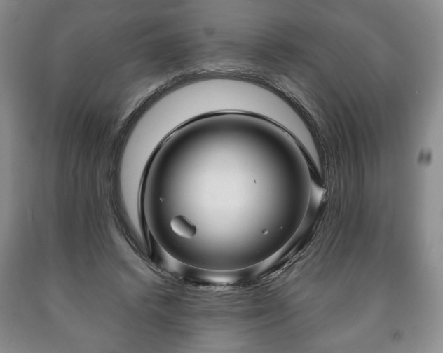 X0000090600448200707241047