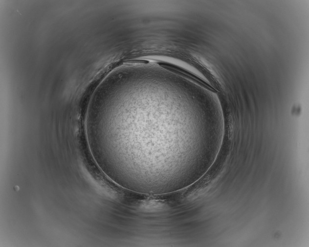 X0000090600451200707241047