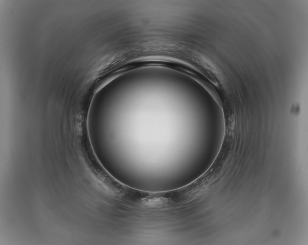 X0000090600452200707241047