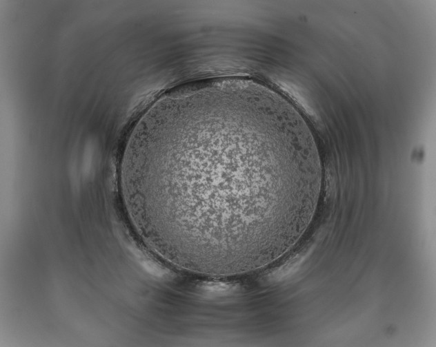 X0000090600453200707241047