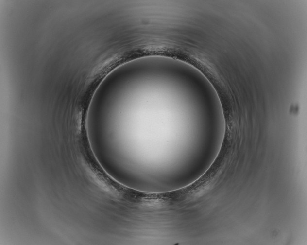 X0000090600454200707241047