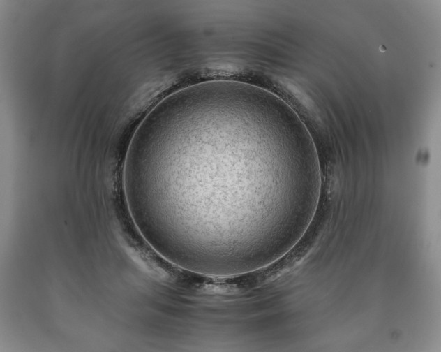 X0000090600455200707241047