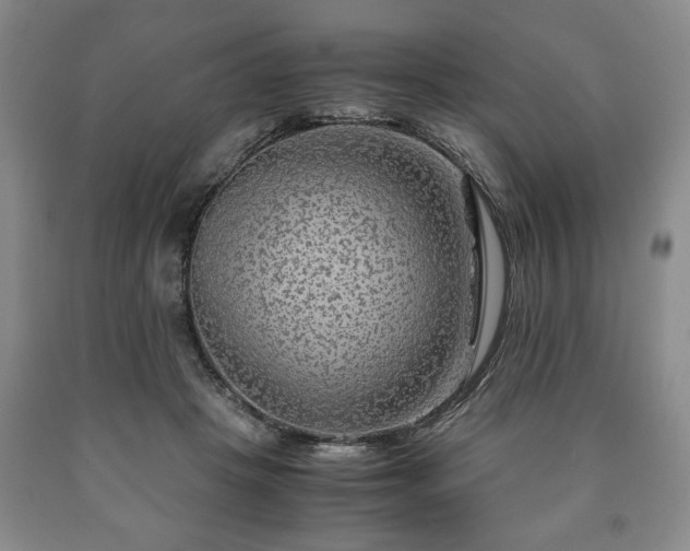 X0000090600457200707241047