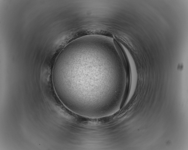 X0000090600458200707241047