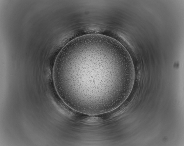 X0000090600459200707241047