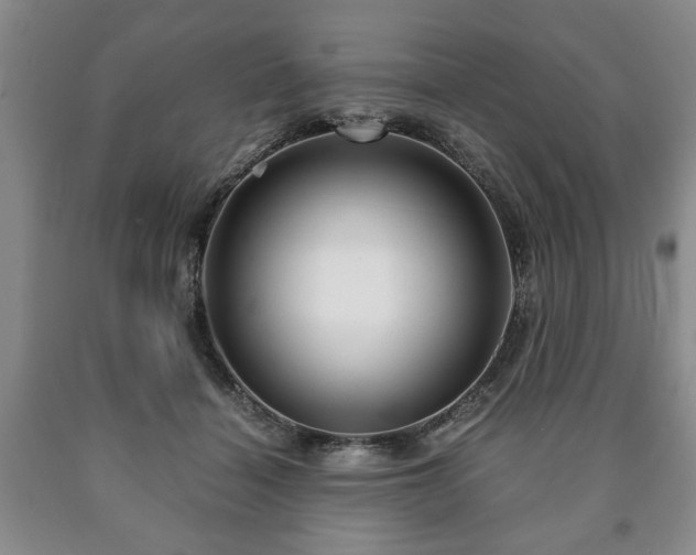 X0000090600460200707241047