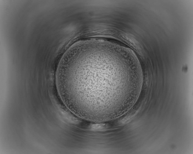 X0000090600461200707241048