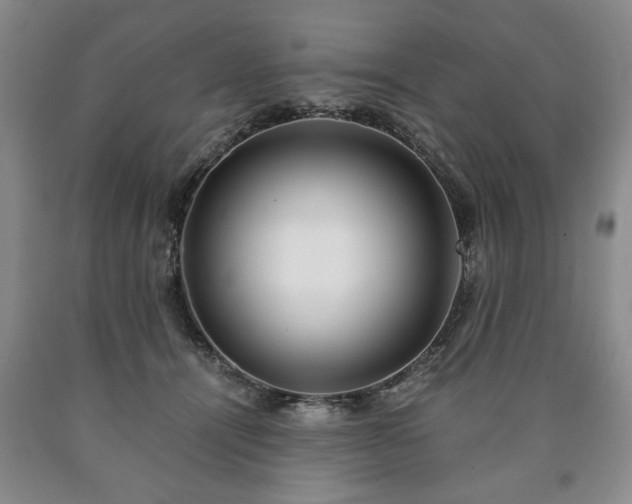 X0000090600464200707241048