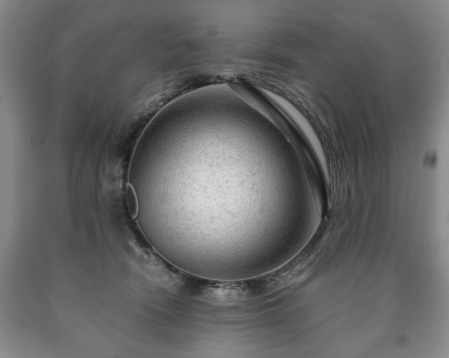 X0000090600466200707241048