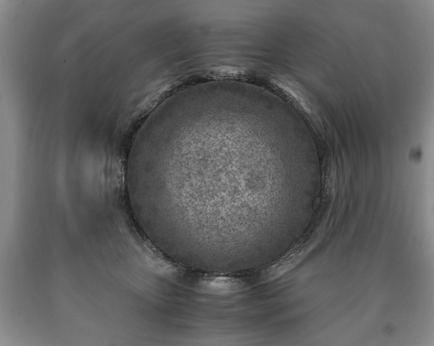 X0000090600467200707241048