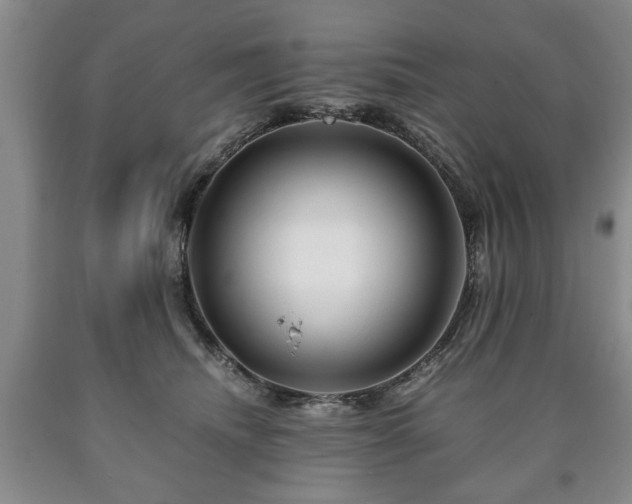 X0000090600468200707241048