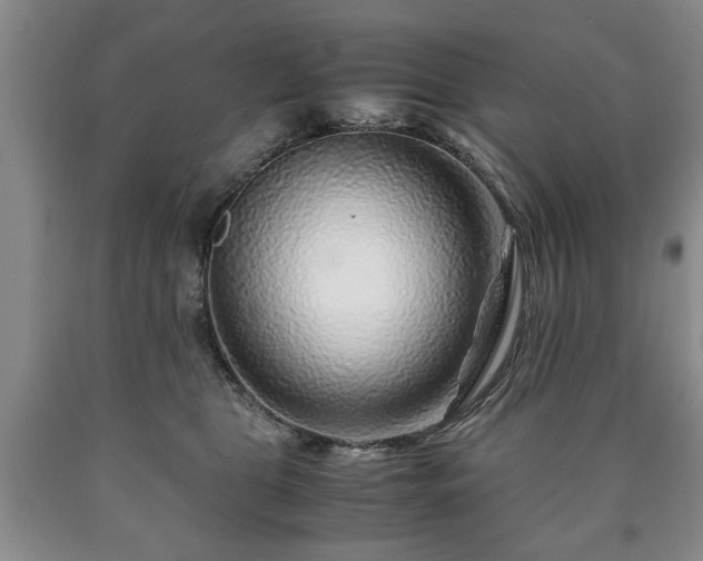 X0000090600469200707241048