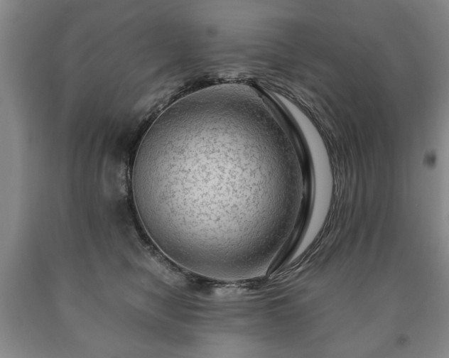 X0000090600470200707241048