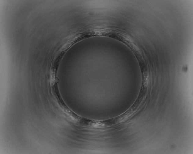 X0000090600471200707241048