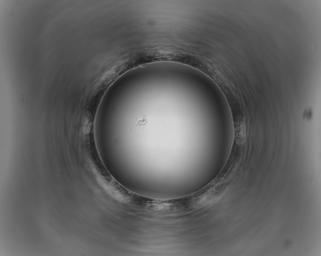 X0000090600472200707241048