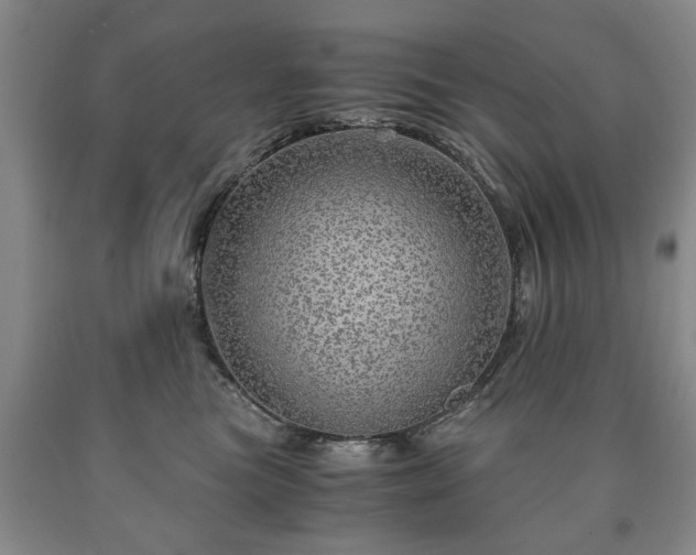 X0000090600473200707241048