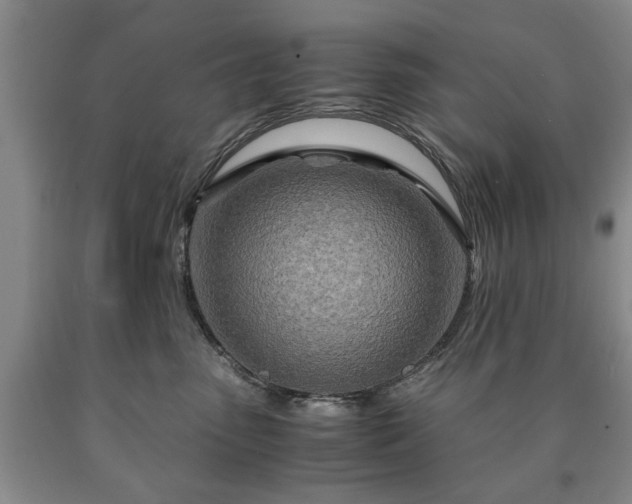 X0000090600475200707241048