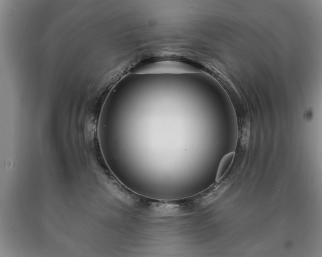 X0000090600476200707241048