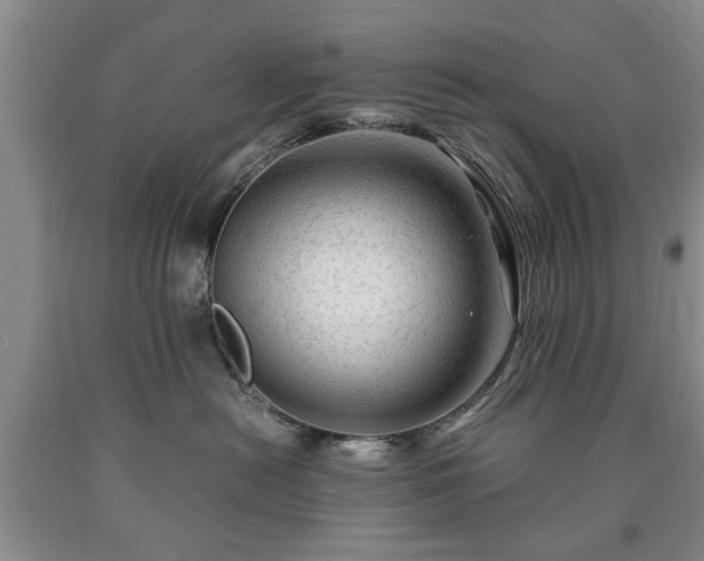 X0000090600478200707241048