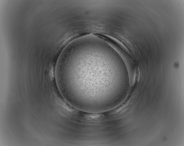 X0000090600479200707241048