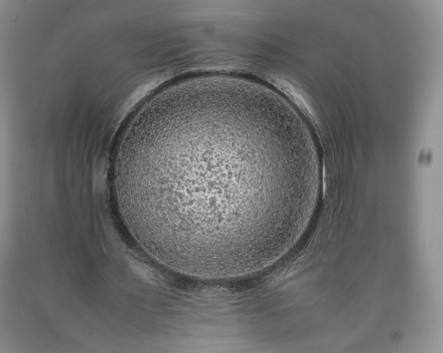 X0000090600483200707241047