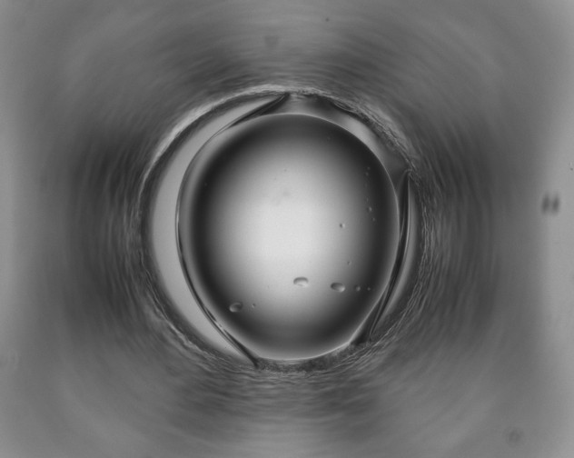 X0000090600484200707241047