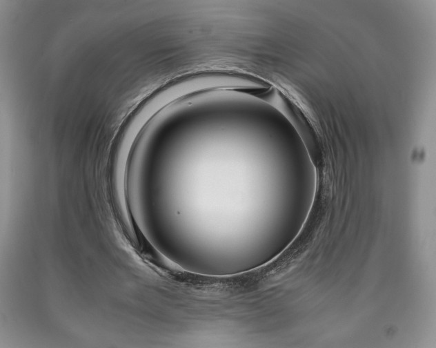 X0000090600485200707241047