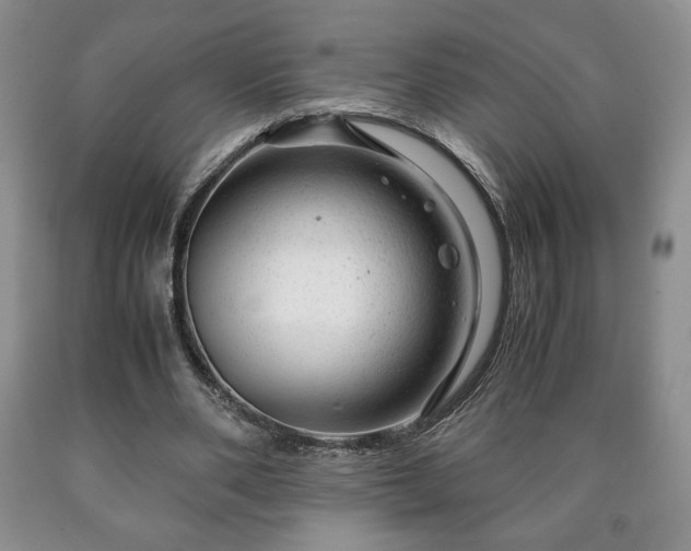 X0000090600486200707241047