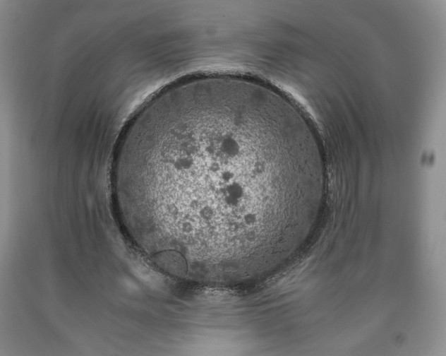 X0000090600487200707241047