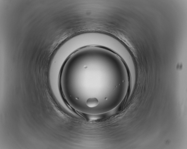 X0000090600489200707241047