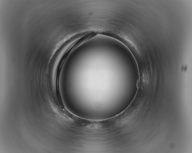 X0000090600492200707241047