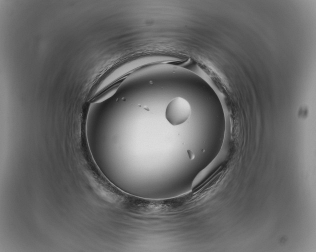 X0000090600493200707241047