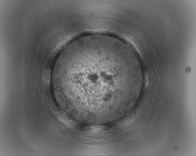 X0000090600495200707241047