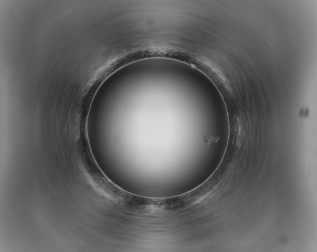 X0000090600496200707241047