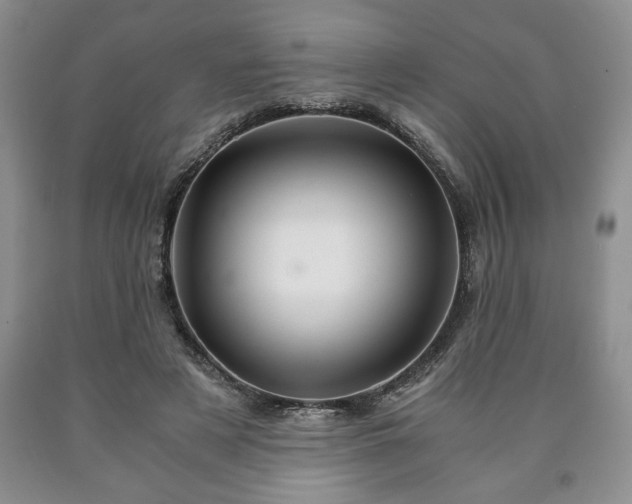 X0000090600497200707241047