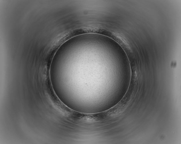 X0000090600498200707241047