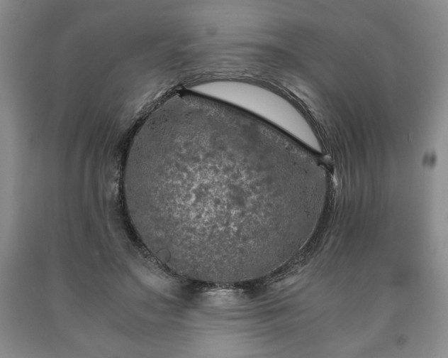 X0000090600499200707241047