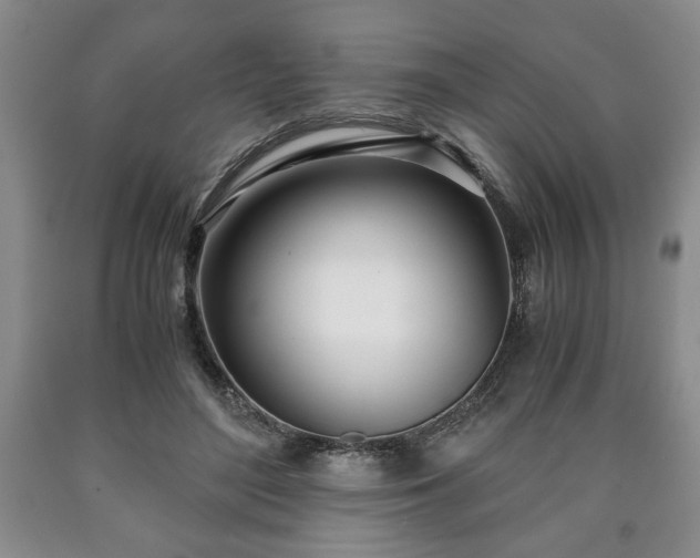 X0000090600500200707241047