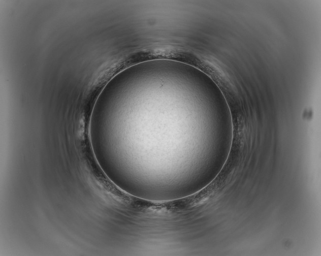 X0000090600502200707241047